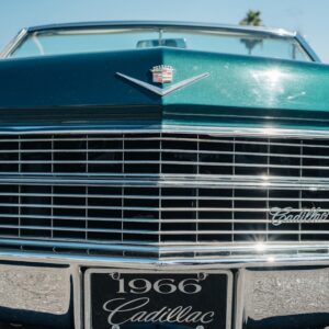 Photo Convertible stroller