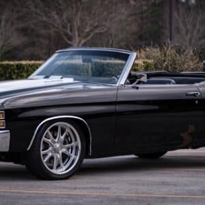 Photo Convertible Stroller