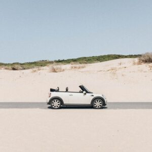 Photo Convertible Stroller