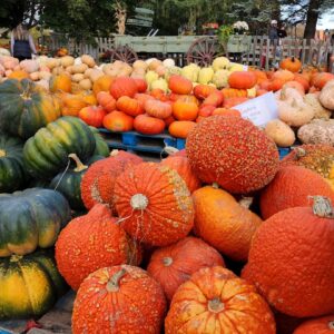 Photo Variety of strollers