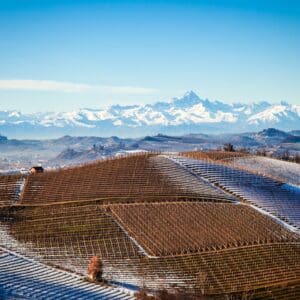 Photo Renogy Solar Panels