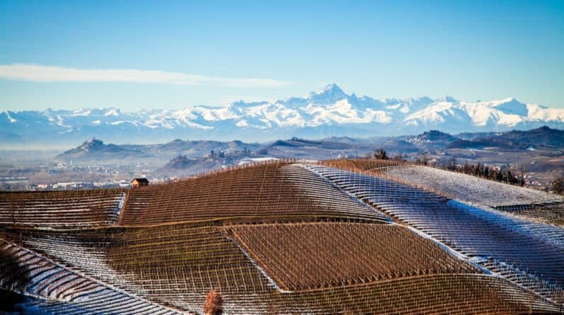 Photo Renogy Solar Panels