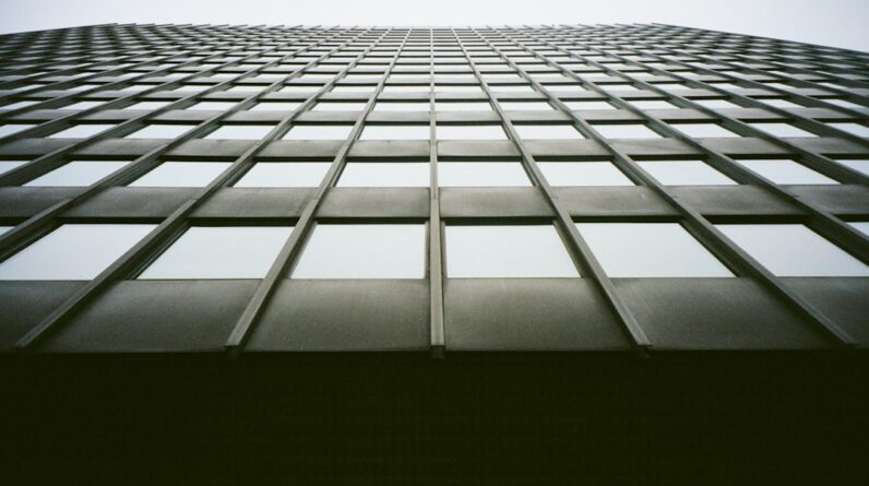 Photo Renogy Solar Panels