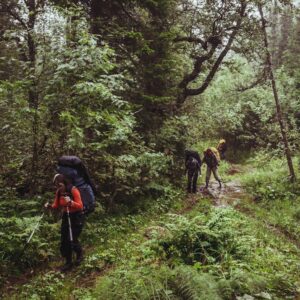Photo Vacuum Sealer Bags