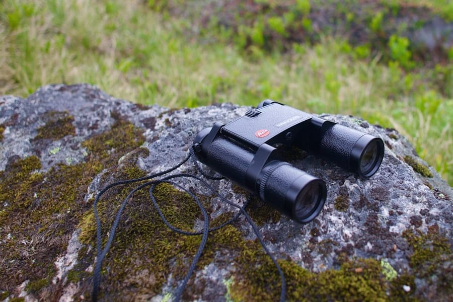 Wildlife Decoy Cameras