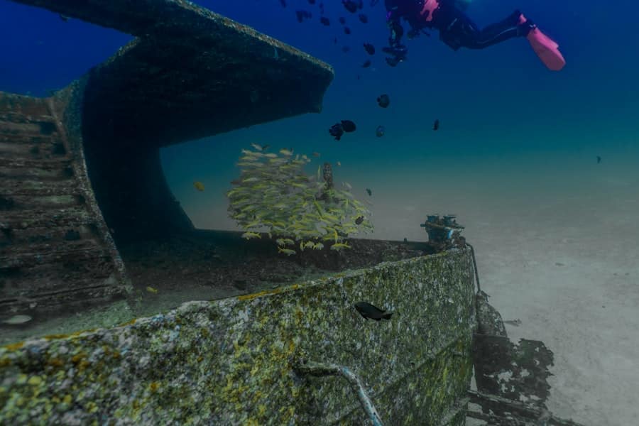 Underwater Camera Housings