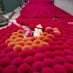 Photo Carpet Cleaners