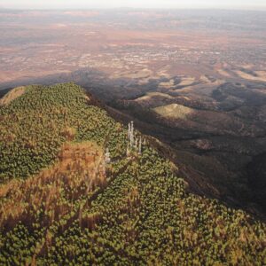 Photo Trekking Pole Systems Carbon