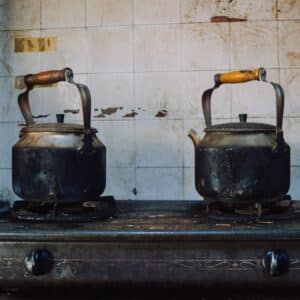 Photo Multi-fuel Stoves