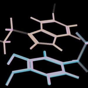 Photo Compound-recurve Variants