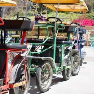 Photo Carts and Sleds