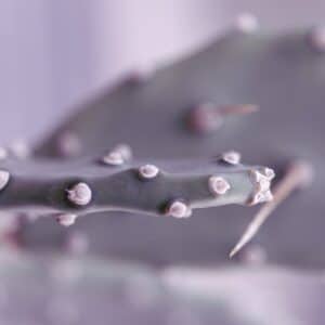 Photo Stainless Pin Wet Tumblers