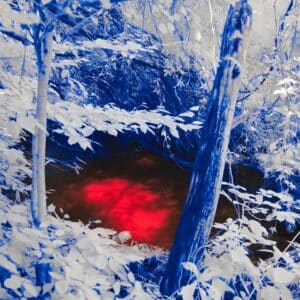 Photo Thermal Imaging Scopes Hunting Approval