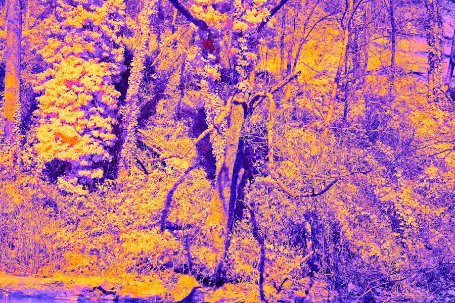 Photo Thermal Imaging Scopes Hunting Approval