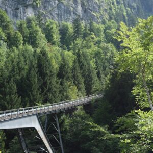 Photo Arca-swiss Dovetail Rails