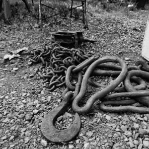 Photo Bore Snake Bulk Kits