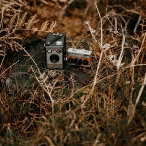 Photo Wildlife Decoy Cameras