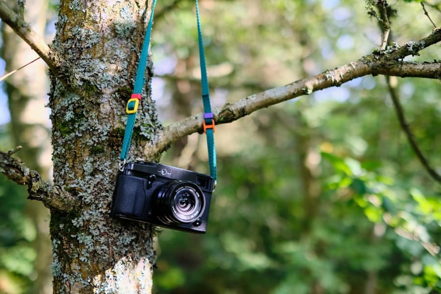 Photo Wildlife Decoy Cameras