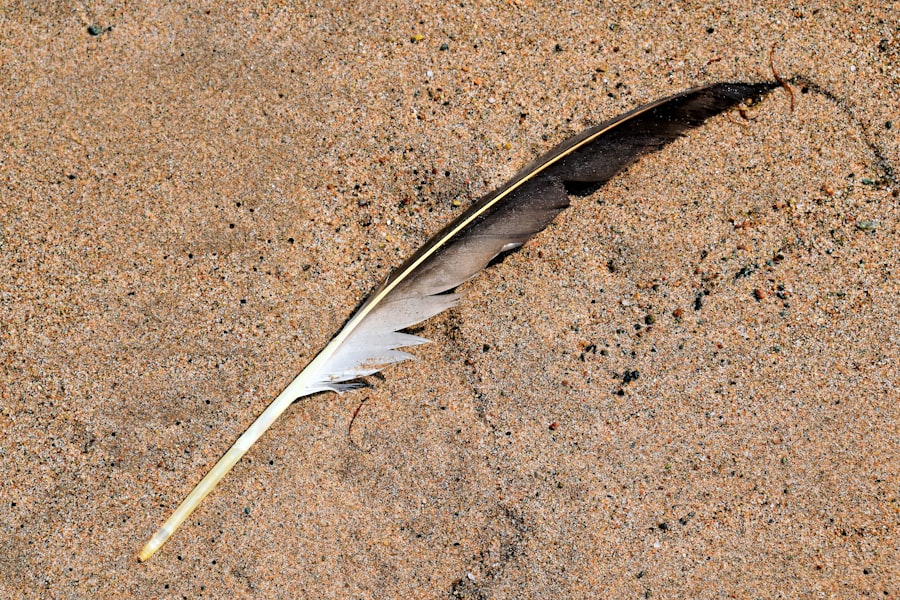 Photo Youth Compound Bow